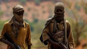 terrorists